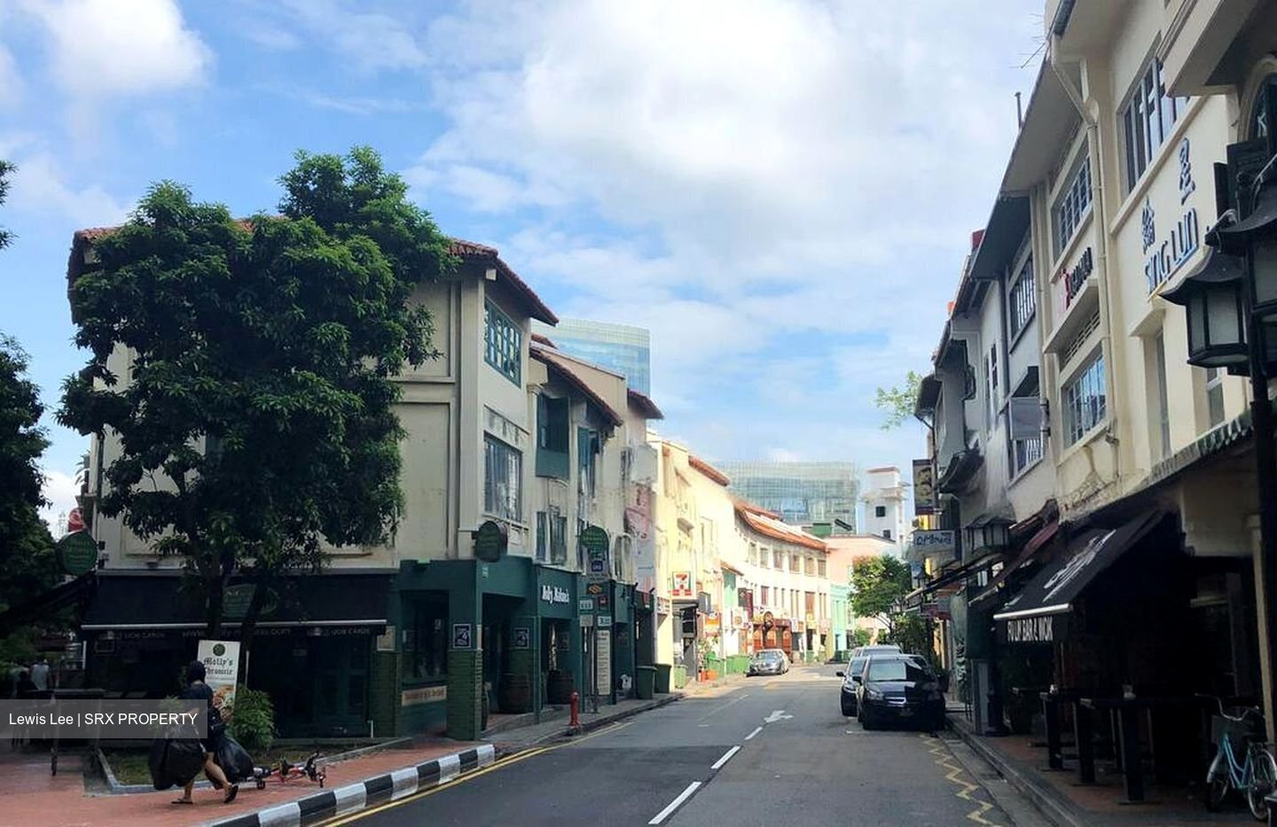 Boat Quay Conservation Area (D1), Shop House #456203521
